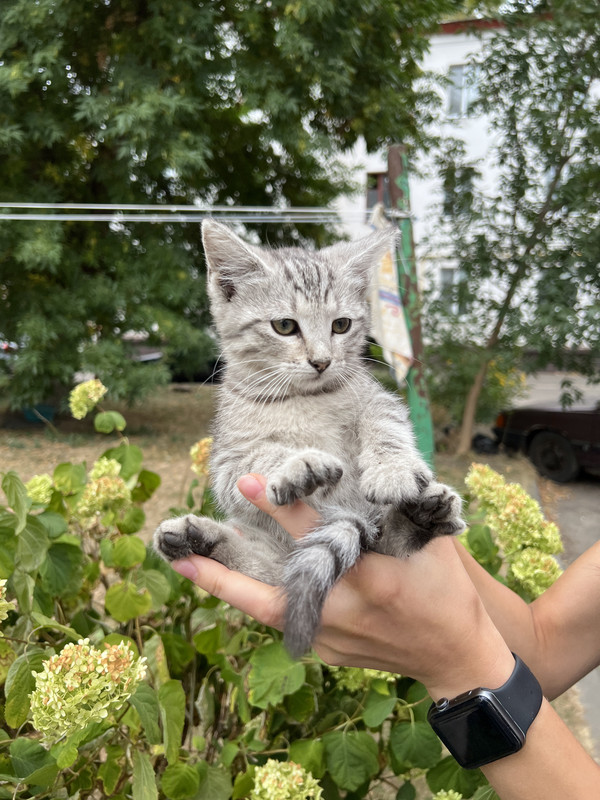 A8AAAD38-093E-4980-99FB-C167FEB820BE