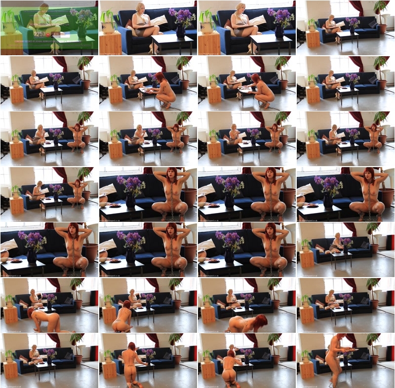 05_p