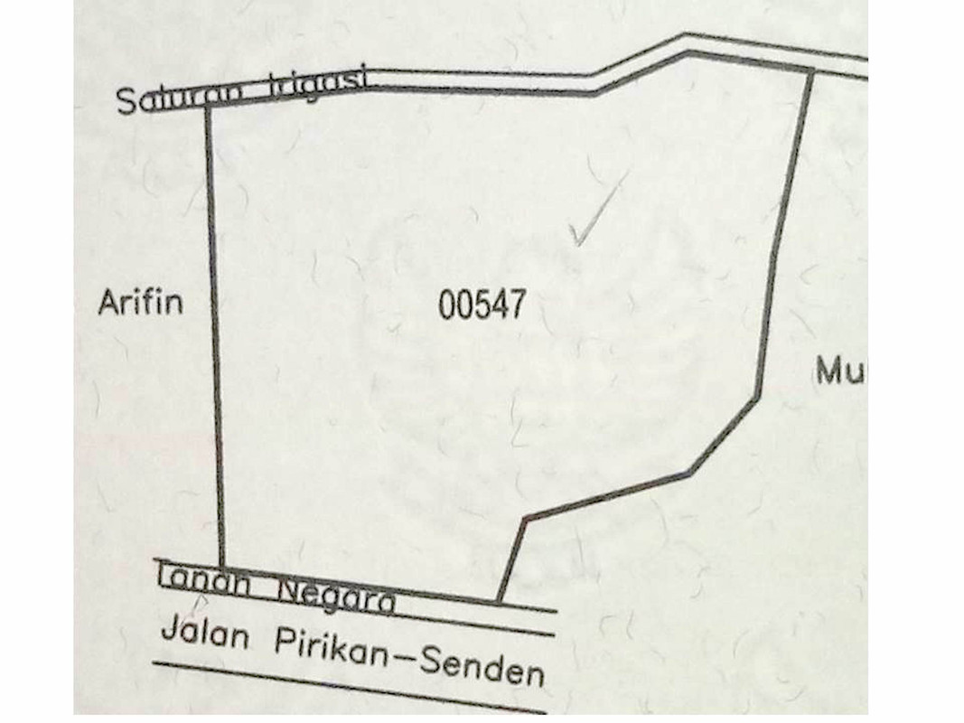 1538117462_3521756.jpg