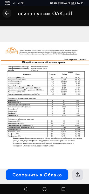 Screenshot_20230514_161145_ru.mail.cloud