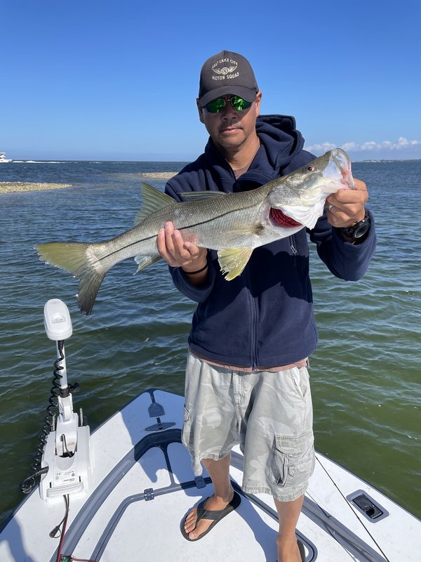 A151237E-2148-40E4-B2F1-75C46F714F74