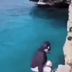 daily-gifdump-3394-13.gif