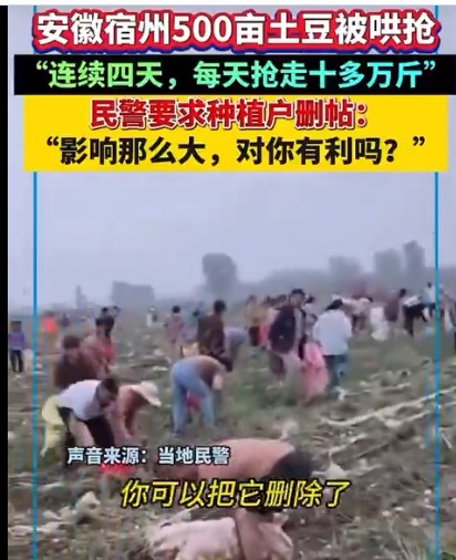 https://i.postimg.cc/02jZMTsb/imige-9.jpg