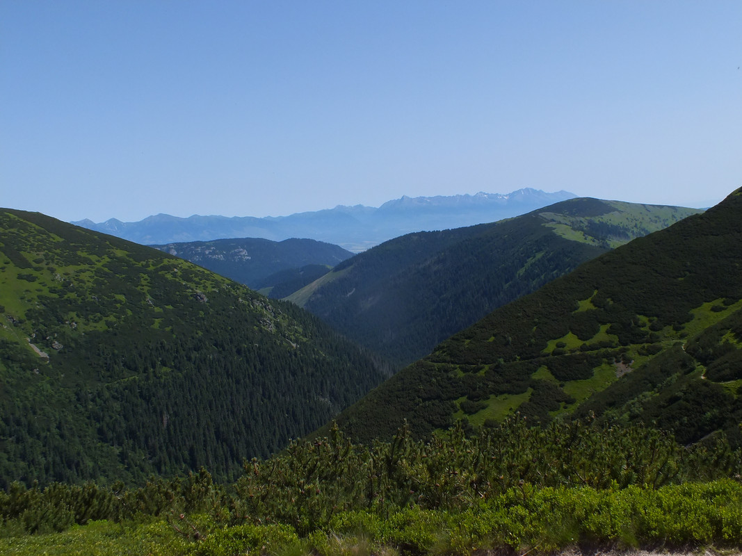 2019_0630DUMBIER0029