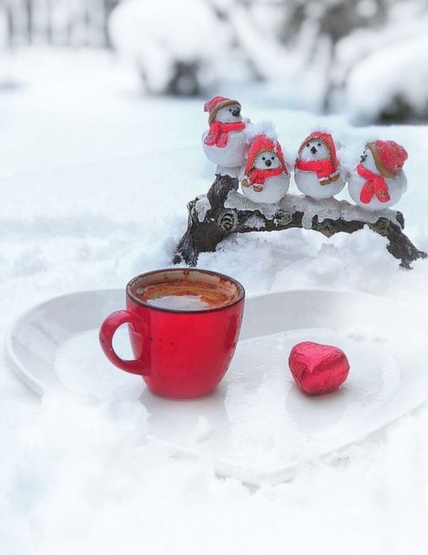 Screenshot_20230201_000600_Chrome