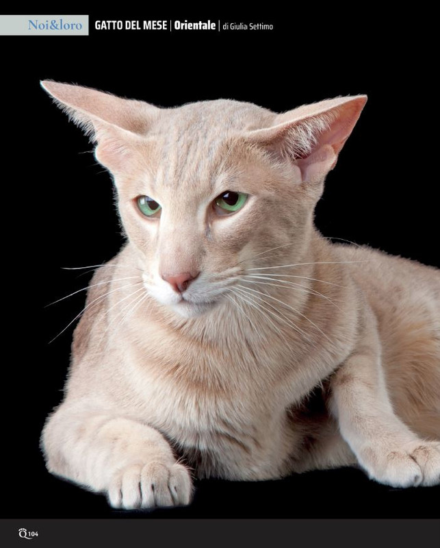 QuattroZampe Ott 2021 (9)