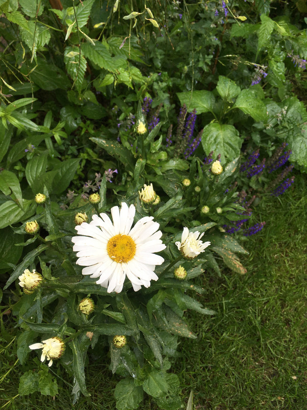 0EF42273-EE22-45B0-B806-8E0A1D9D8151