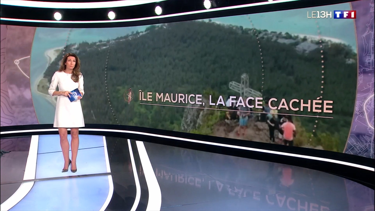 2022-02-13_13_00_TF1_Le-13h.mp4_snapshot_24.17.769