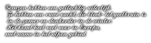 cooltext396275955711559