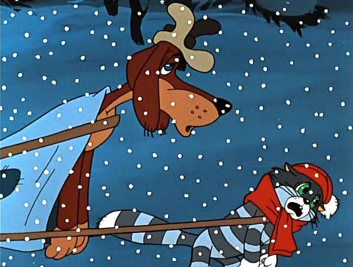 котэ-хаски-собака-живность-2016972