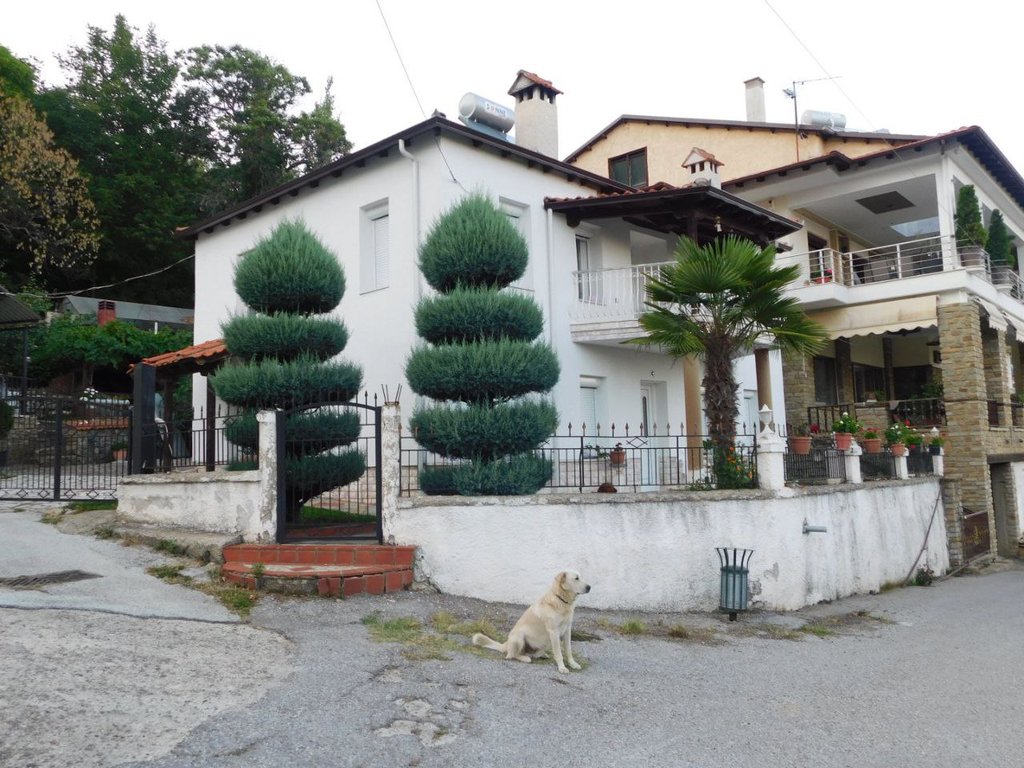 Slika