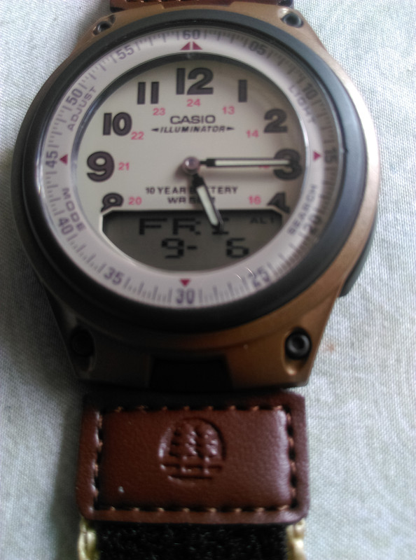 IMAG2160
