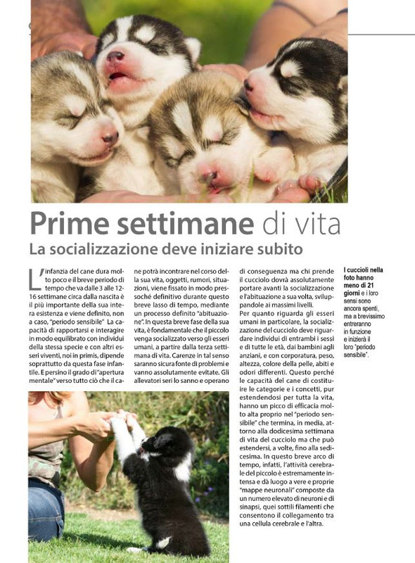 Il M C Mag-Giu 2024 (11)