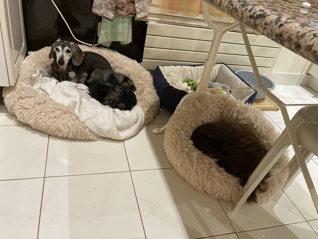 [Image: IMG-4014.jpg]