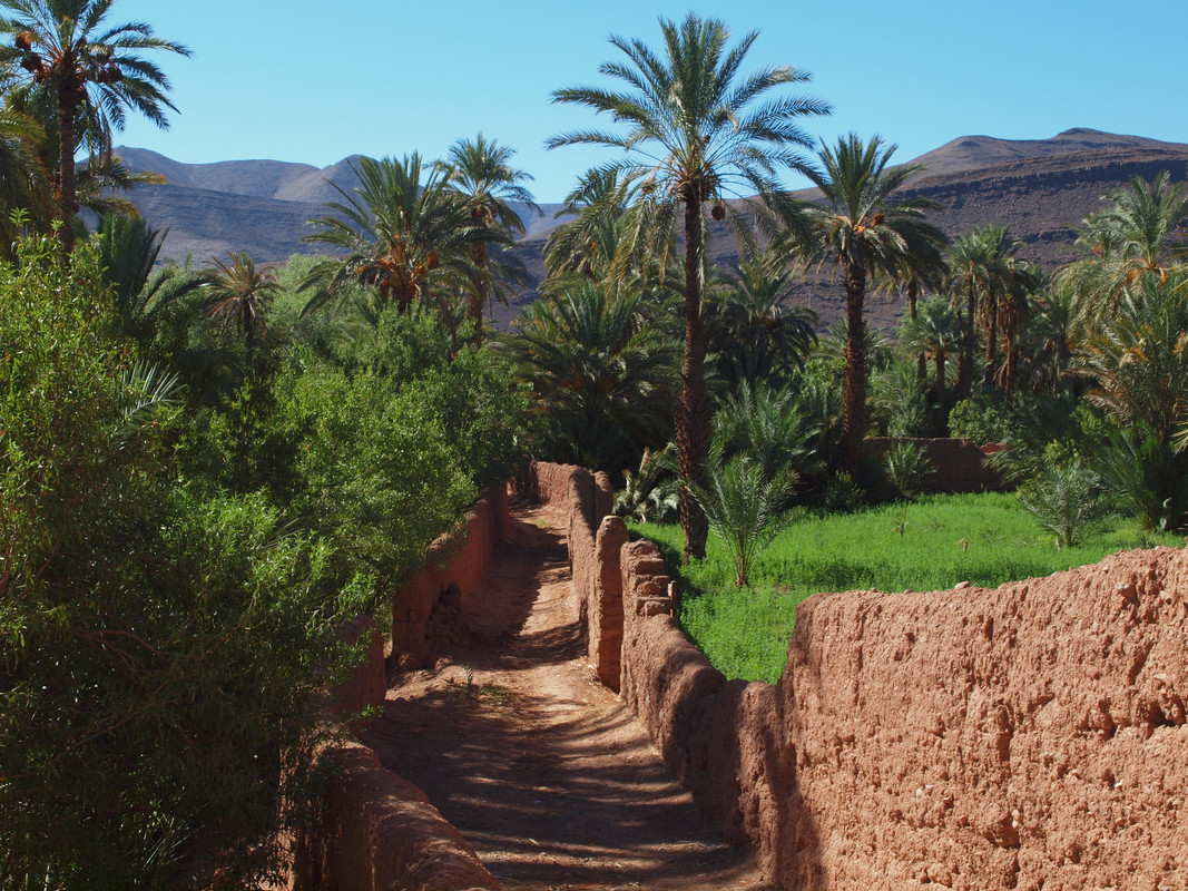 Agdz, Asslim y Tamnougalt : en la tierra de los Mezguita - El Valle del Drâa, la gran arteria del sur de Marruecos (10)