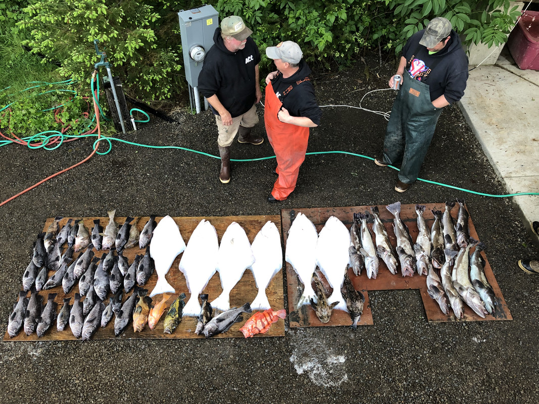 C4A06A67-FAFD-44D7-AEF9-BA210658EBED