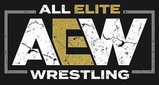 AEW 2019 Before The BellThe Story Of All Elite Wrestling