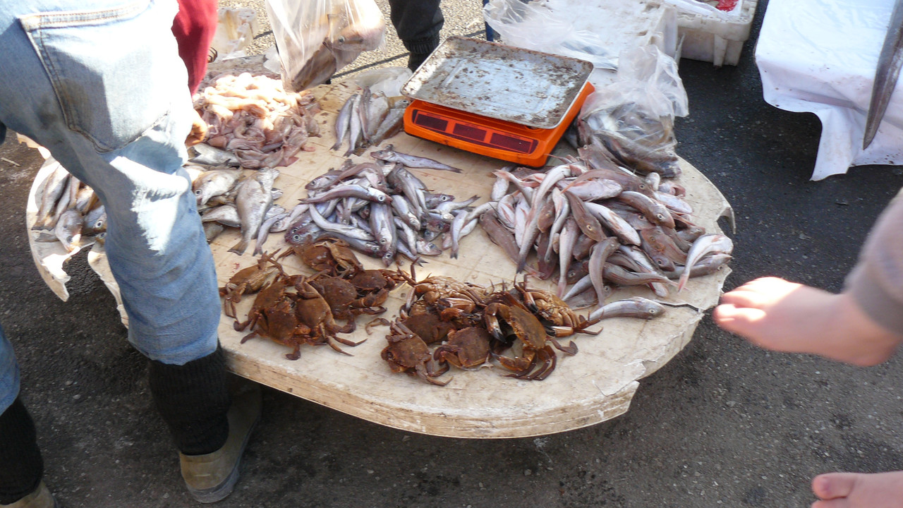 [Obrazek: P1120742.jpg]