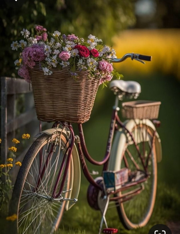 Screenshot_20240324_220112_Pinterest