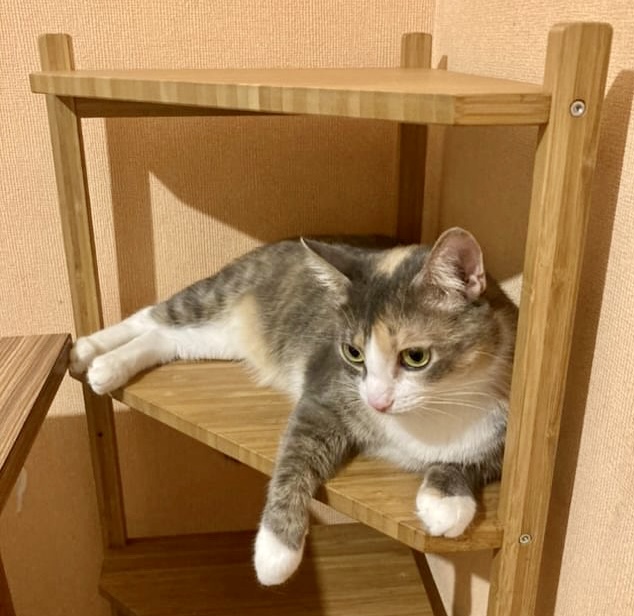 28854B1A-7557-4128-97C9-643B698E9B19