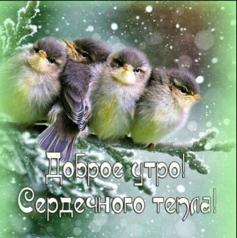 Screenshot-20230108-100036-com-viber-voi
