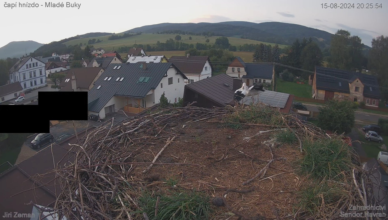 Tiešraides kamera — Mladé Buky — stārķa ligzda 15-39-14 screenshot