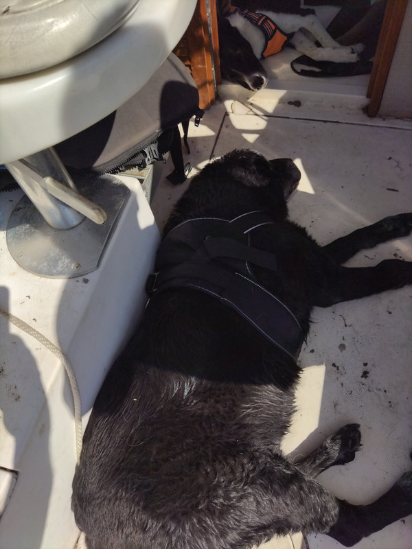 KIMG0049