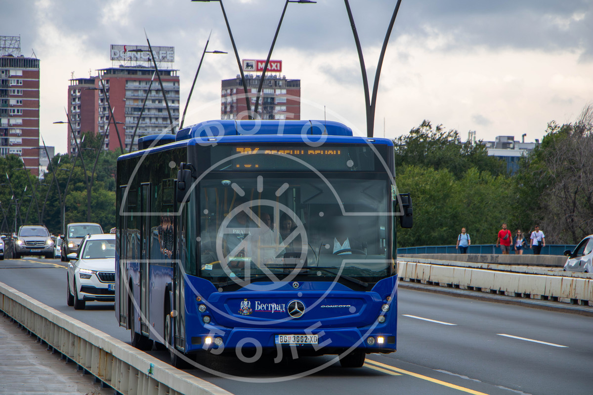 704751.jpg