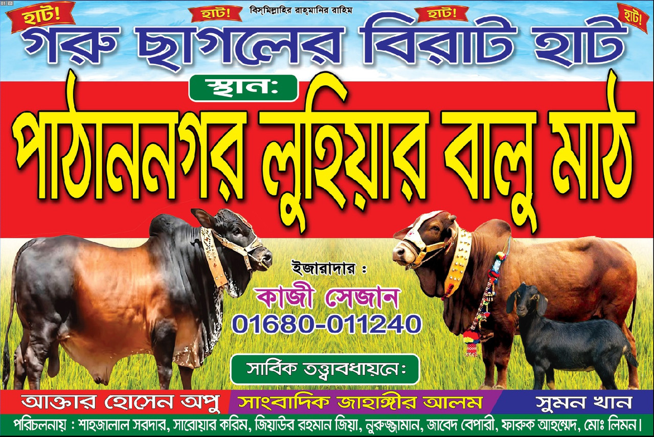 Whats App Image 2026 05 18 at 6 51 13 PM
