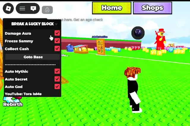 Ronix Executor APK for android 