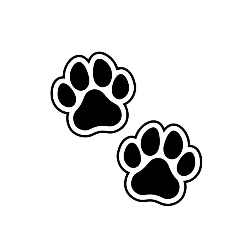 paws