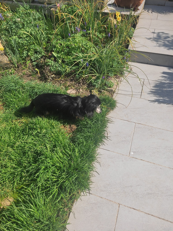 [Image: IMG-20250326-113738.jpg]