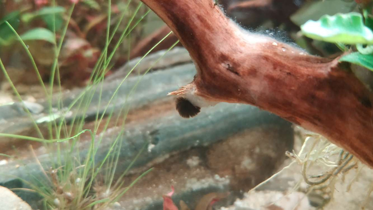 Compress_20230301_193722_2385