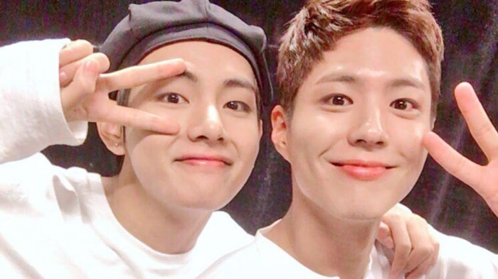 V BTS dan Park Bo Gum