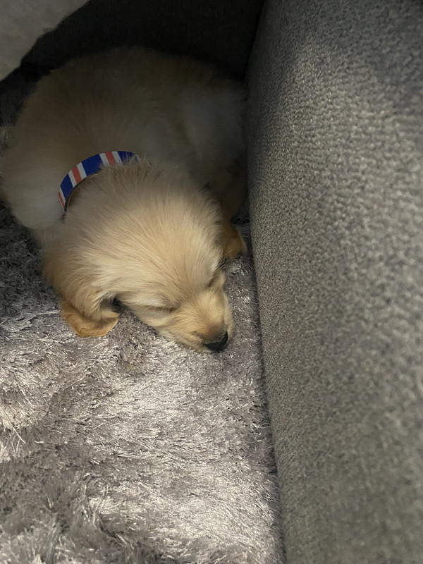 826EA5E6-0C71-40D3-899C-BC0F1E05D0FA