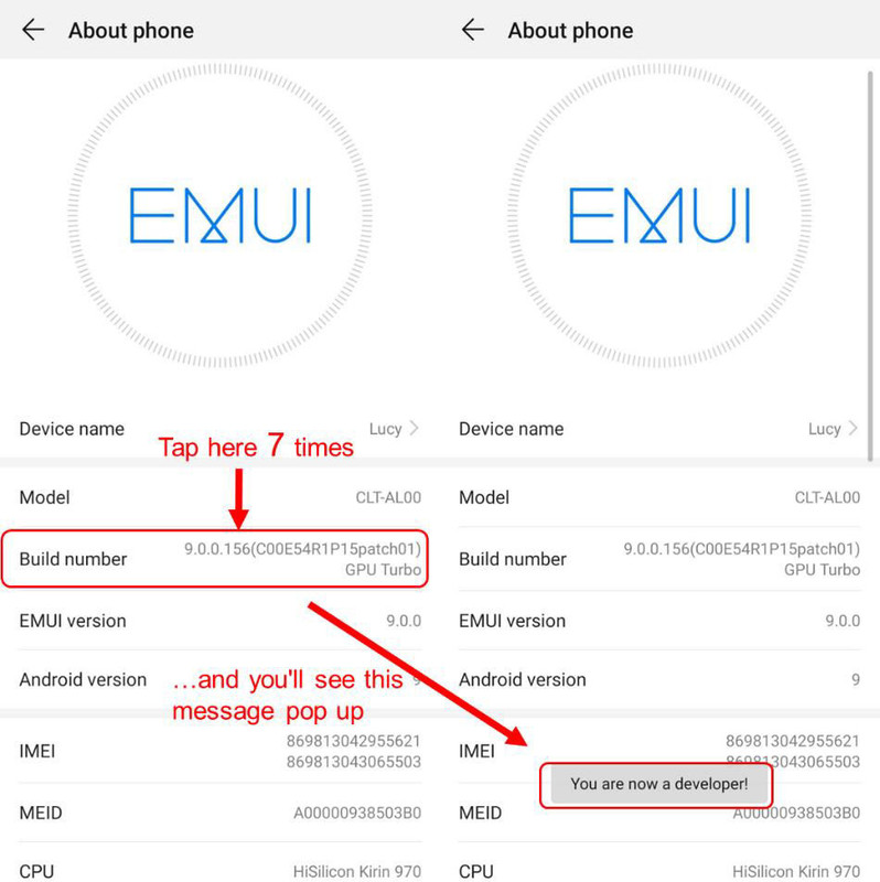 Emui.jpg
