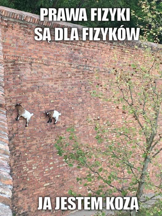 37328029 1696128727107425 3327127159222304768 n