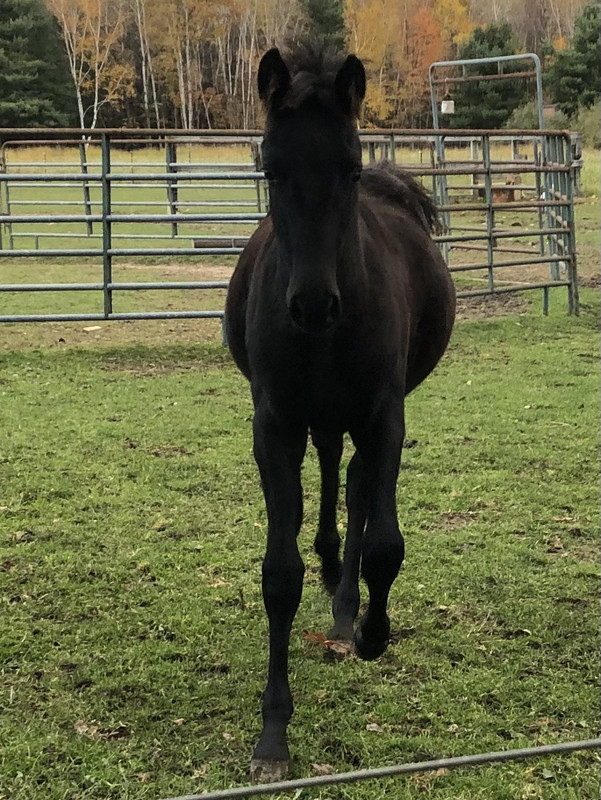 5AEBB517-2189-443A-B271-64E833C6073F