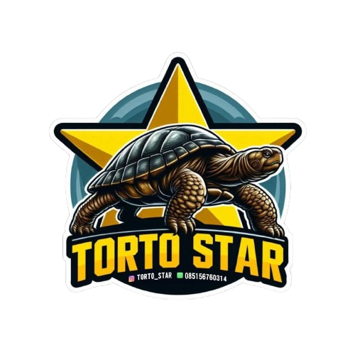 TORTO STAR Logo