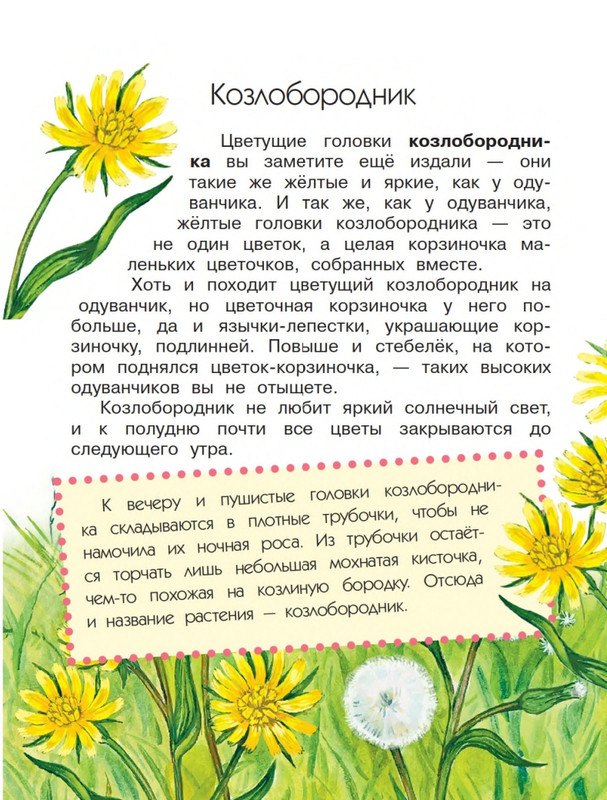 Onegov-Anatolij-Pochemu-kukushka-slozki-lot-page-0017