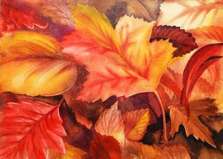 Autumn Watercolor - Painting Fall Leaves