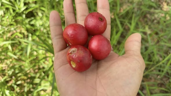 484148246 1123733906218545 4871872295510749169 n