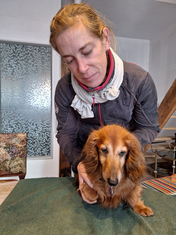 [Image: 20231129-151635.jpg]