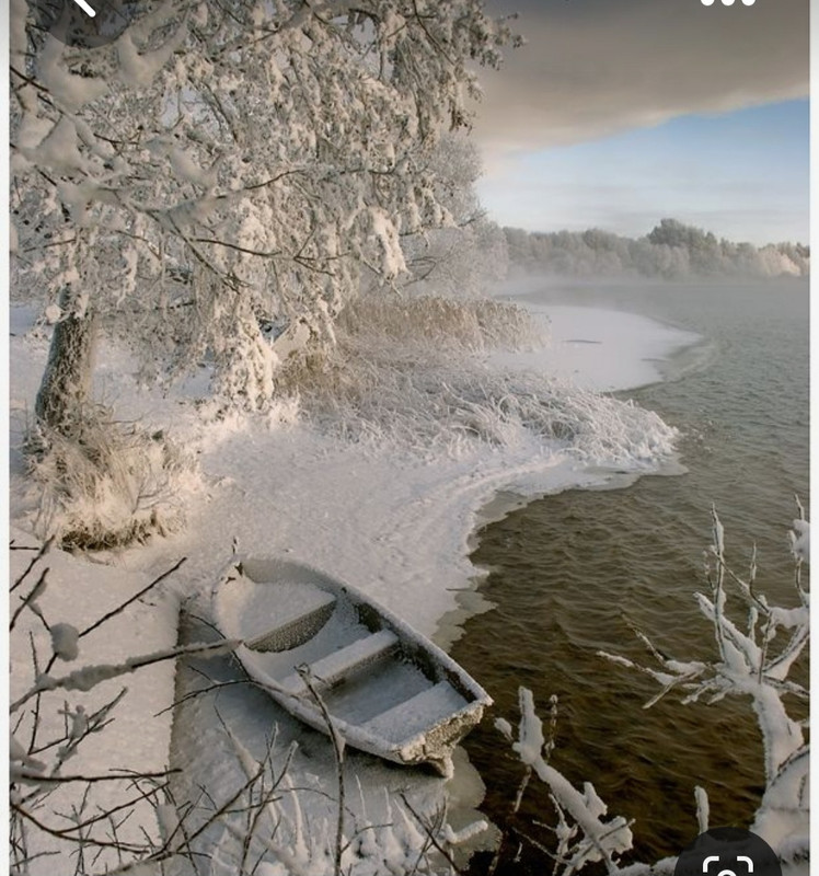 Screenshot_20230429_011754_Pinterest