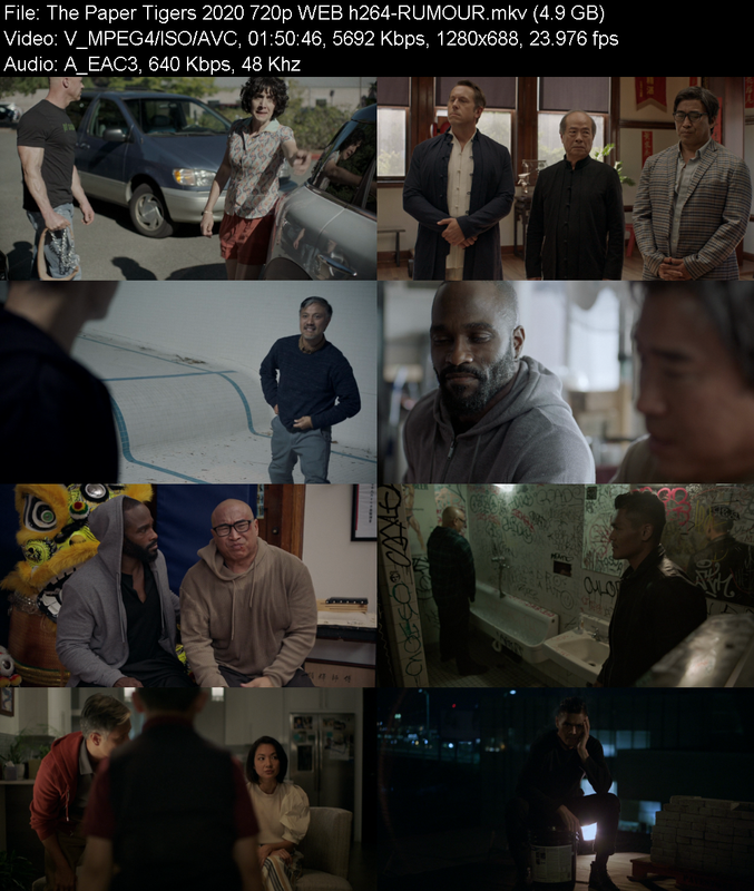 the-paper-tigers-2020-720p-web-h264-rumo
