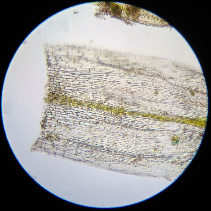 IMG 20250614 124255 HDR