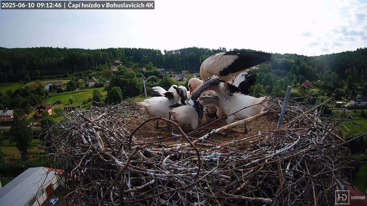 Tiešraide no KARA uzņēmuma stārķu skursteņa Bohuslavicē netālu no Trutnovas 11-47-4 screenshot