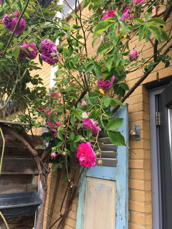 367E0970-5F80-4788-99F3-2BB6A7E5BC33