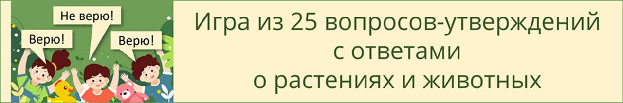 «Верю не верю игра 2-4 класс»