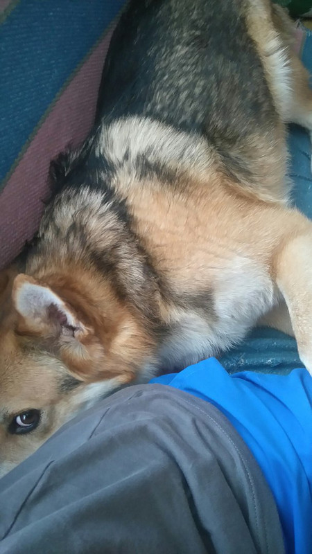 Булька_05_18_3